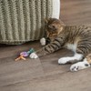 Petstages Dental Kitty - Juguete para Gatos