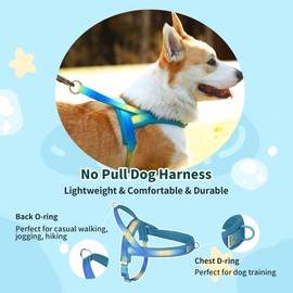 JOYPAWS No Pull Dog Harness with Soft Padded Handle, Escape Proof and Quick Fit Vest Harness, Easy Dog Strap Harness for Training Walking, Suitable for Small Dogs Blue S