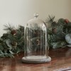 Lights4fun Regular Glass Cloche Bell Jar Dome with Grey Bamboo