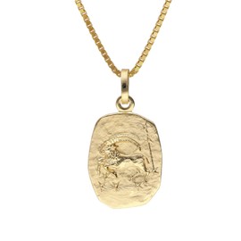 trendor Capricorn Zodiac Sign Gold 333 with Gold-Plated Silver Chain 15382-01-40 40 cm, Gold
