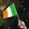 Ireland Flag Irish Flag, Small Mini Handheld Ireland Flags on