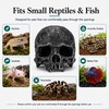 Fokauiwo Skull Terrarium Decor Reptile Hideout for Tank (Black)