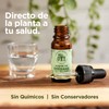 ORE Aceite de Orégano Silvestre, 10ml, 80% Carvacrol, Suplemento Aceite