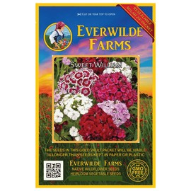 Everwilde Farms - 1 Oz Sweet William Wildflower Seeds - Gold Vault