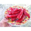 Chile De Agua Pepper Seeds 10+ Seeds