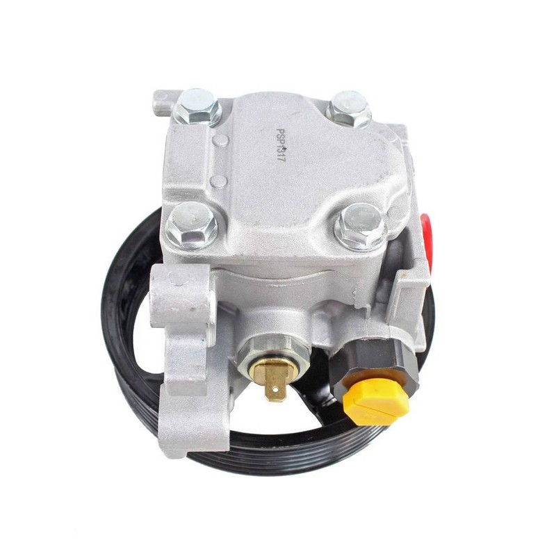 DNJ New Power Steering Pump PSP1317 for 07-09 / Mazda