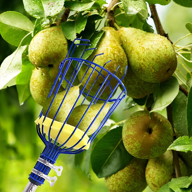 RAIN SPIRIT Fruit Picker Pole with Basket Telescoping tool extension