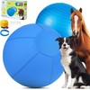 Irondance Herding Ball for Dogs and Horses - 18" Jolly