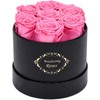 Beaulasting Roses Preserved Roses Box Eternity Roses Real Roses Gifts