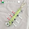 Eighteen Golf Tee Holder with Marker and Carabiner, Golf Tee
