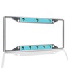 Fastasticdeals Metal Insert License Plate Frame Fish Sea Bass Weatherproof
