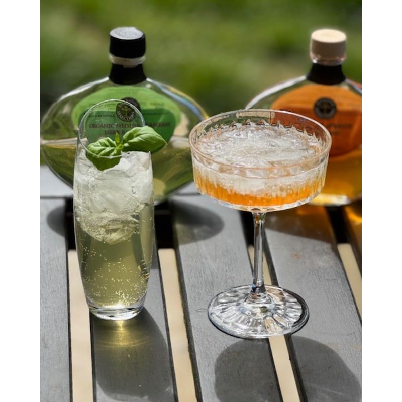 Ritrovo Selections Organic Green Mediterranean Herb Balsamic Vinegar by VR