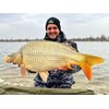 HALDORADO MAX MOTION Fluo Orange Monofilament 800 m Main Fishing
