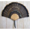 Taxidermists Woodshop The Medium Oak Turkey Mounting Kit -01
