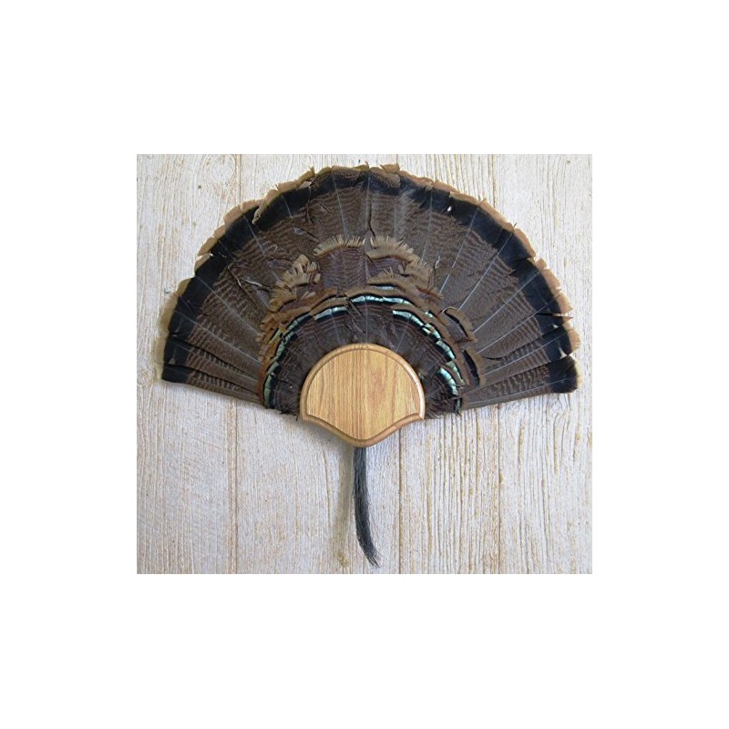 Taxidermists Woodshop The Medium Oak Turkey Mounting Kit -01