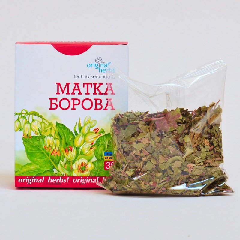 WINTERGREEN, ORTHILIA SECUNDA L. | Original Herbs Herbal Tea –