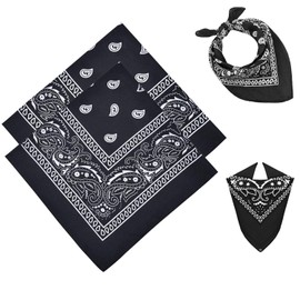 JJiaoLinin Bandana Head Scarf for Men and Women, 2 Pcs Paisley Bandana,Stylish Cowboy Headband Handkerchief,Outdoor Sports Square Bandanas Pirate Head Scarf for Men Women Hip-Hop Sporting (Black)