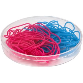 Pioneer Plastics 052C Clear Round Petri Dish Plastic Container, 4.3125" W x 0.625" H, Pack of 48