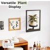 Bamworld Wall Plant Holder Plant Stand Indoor Wall Planters Black