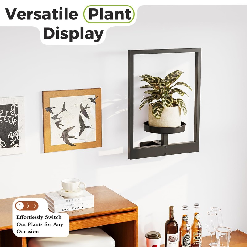 Bamworld Wall Plant Holder Plant Stand Indoor Wall Planters Black