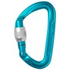 Edelrid Pure Screw 3 (Color: Ice Mint) Mountaineering Climbing Carabiner