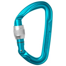 Edelrid Pure Screw 3 (Color: Ice Mint) Mountaineering Climbing Carabiner Screw Lock