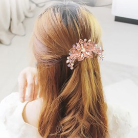 Sankuwen Peines para el pelo con diamantes de imitación, regalo perfecto para el día de la madre, regalos de cumpleaños (champán)