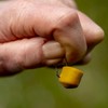 Fjuka 2in1 ‘Sumo’ - 14mm Fishing Bait | Big fish