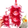 Bonka Bird Toys 2957 Triple Pink Ducks Bird Toy with