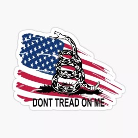 ModernWorksGraphix Don't Tread On Me  worn flag vinyl Sticker Laptop Window  Gadsden Flag 2nd Guns
