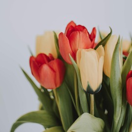 ARTIBETTER 50Pcs Artificial Flower Calyxes Plastic Flower Sepals for DIY Craft Flower Arrangement Supplies