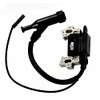 NEW Gas HR214 HR215 HRM215 Engine Motor Lawn Mower Ignition