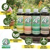PlantVantage Concentrated Plant Fertilizer Bundle – Liquid Plant Food for