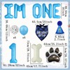 Dog First Birthday Party Supplies Dog Puppy 1st Birthday Banner
