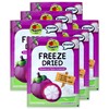 Thappy Fruit Freeze Dried Mangosteen Powder - No Additives, Oil