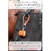 Ricky's Chain Keychain Type 2 Key Loss Prevention Smart Key