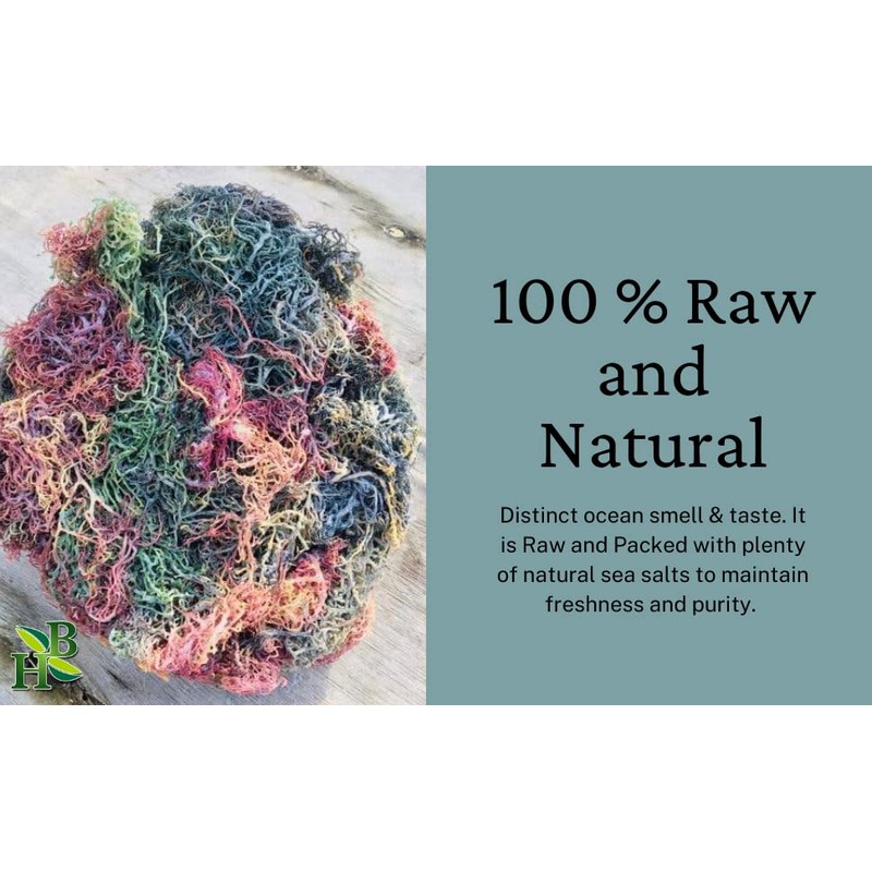 Herb To Body Full Spectrum Irish Sea Moss | Premium