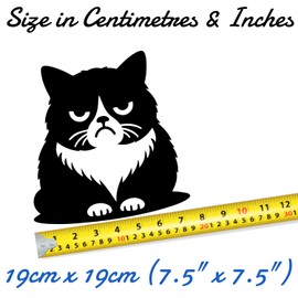 Cute Grumpy Pet Cat Waterproof Vinyl Sticker - Wall Decal, Laptops, Car, Water Bottles, Motorbikes, Vans, Gifts for Cat Lovers (1, 19cm x 19cm (7.5" x 7.5"))