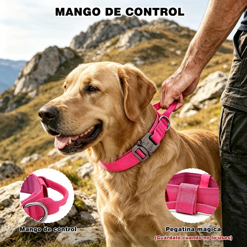 Collar de Perro Táctico, Collar para Perro de Nailon Militar