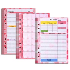 Toplive Budget Planner Refill,2024 Colorful Monthly Weekly Planner, Expense Budget Sheets Money Cash Envelopes,Divider,Ruler and Stickers for A5 Financial Budget Binder 3P (Multicolor)