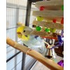 Super Bird Creations SB680 Balsa Stack Bird Toy, Small Bird