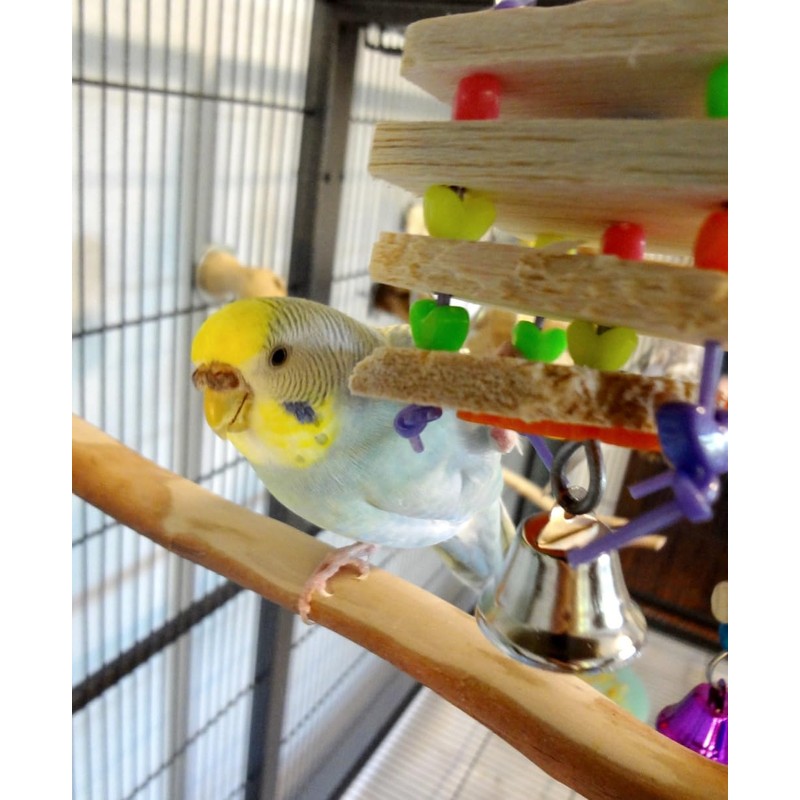 Super Bird Creations SB680 Balsa Stack Bird Toy, Small Bird