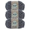 (3 Pack) Lion Brand Yarn 951-154H AR Workshop Chunky Knit