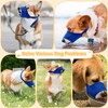 Coppthinktu Dog Muzzle Suit 7PCS Muzzles for Biting Barking Chewing,