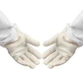 Flexzion Beekeeping Gloves Canvas Protective Bee Keeping Supplies Equipment with Vented Long Sleeves for the Beekeeper 1 Pair