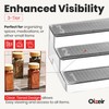 Oizeir Expandable Spice Organizer Rack (2-PACK) - 3-Tier - Clear