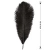 THARAHT Black Ostrich Feathers 12pcs Large Natural Bulk 16-18Inch 40cm-45cm