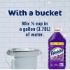 Fabuloso Multi-Purpose Cleaner, 2X Concentrated Formula, Lavender Scent, 210 oz.