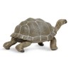 Safari Ltd. Tortoise Figurine - Detailed 8.5" Plastic Model Figure