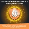 Suplemento en cpsula Newmanity MineralesVitaminas de Adaptogens Bacopa Monnieri x